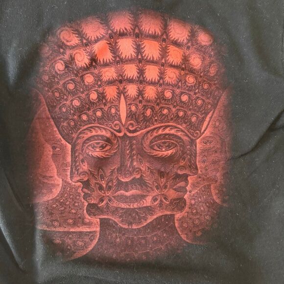Y2K Tool 10,000 Days Full Zip Up Black Lateralus Hoodie Size Medium Rock Metal - Picture 6 of 6